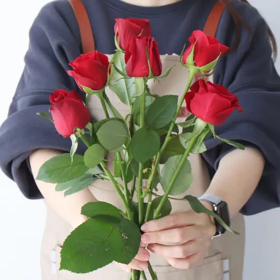 모리앤 장미 생화단, 레드, 3송이, 1단