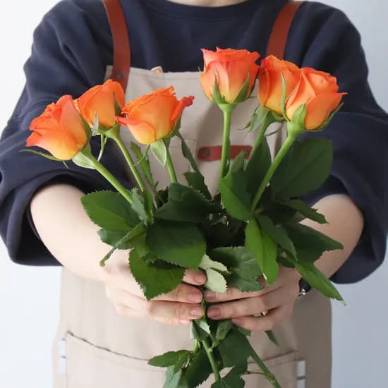 모리앤 장미 생화단, 오렌지, 3송이, 1단