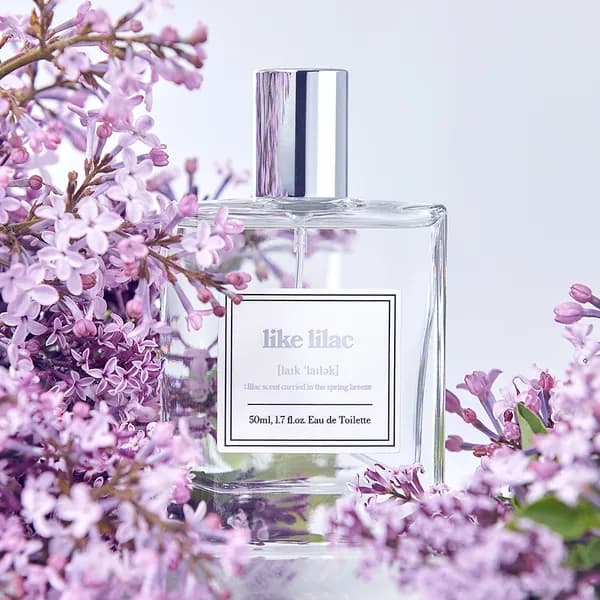 아로 라이크 라일락 향수 50ml
