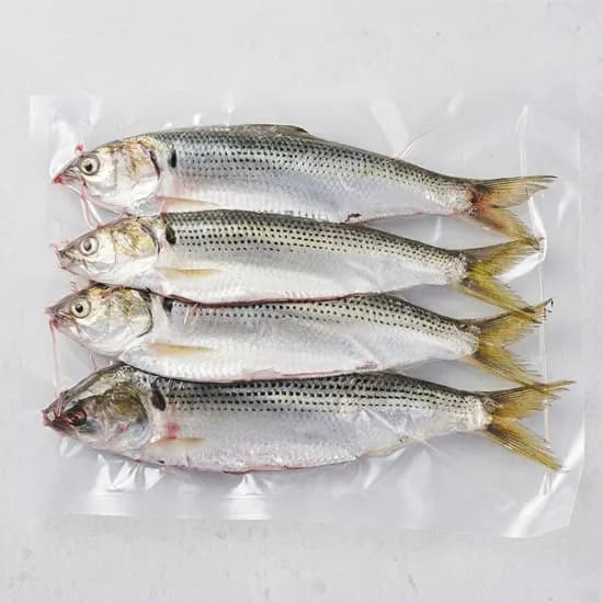 통영 원물 전어구이 급냉 500g 1팩