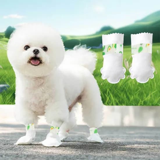 아띠꼴로 댕댕이일회용슈즈, 화이트, S, 1세트
