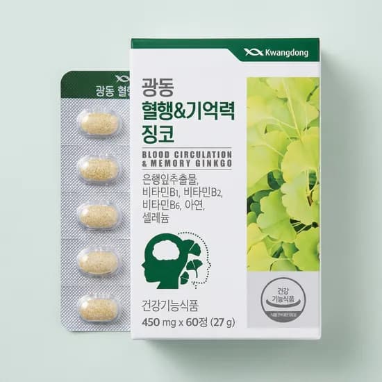 광동 혈행&기억력 징코 60정 2박스