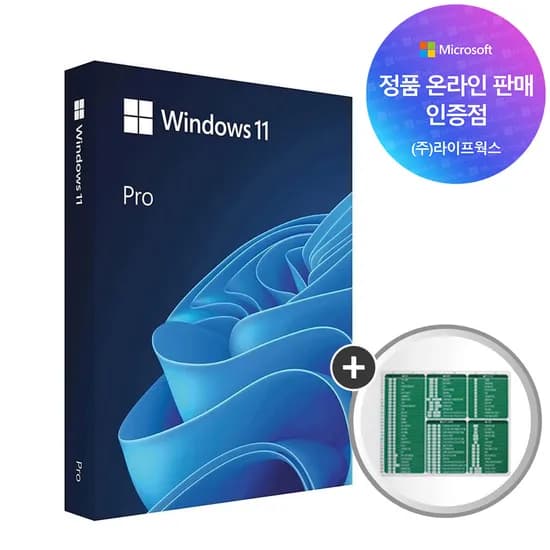 MS 윈도우 11 Pro FPP, 기업용, USB 제품키, 영구사용