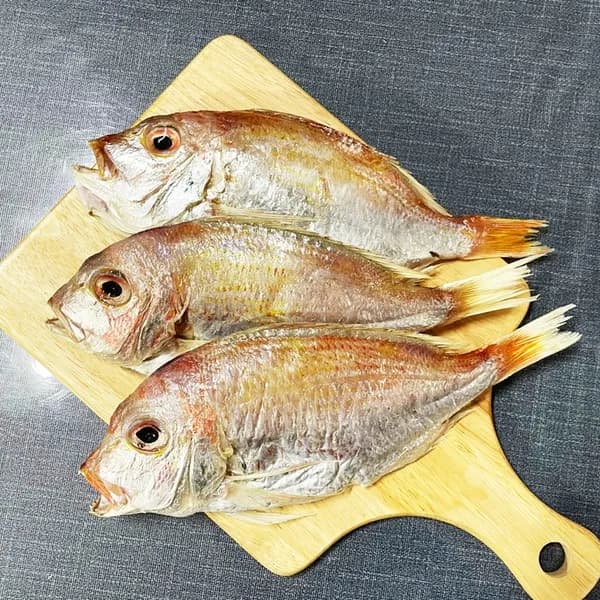 꽃돔 반건조 750-900g 1봉