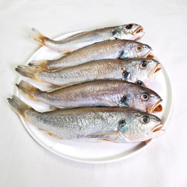 백조기 반건조 4-8미 800-950g 1봉