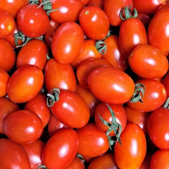 강원도 산지직송 대추방울토마토 벌크 5kg 1개