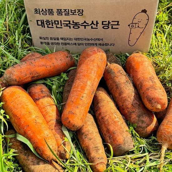 햇당근, 주스용 못난이, 10kg, 1개