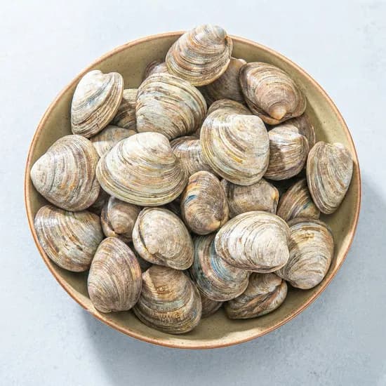 백생합 75마리 3kg 1개