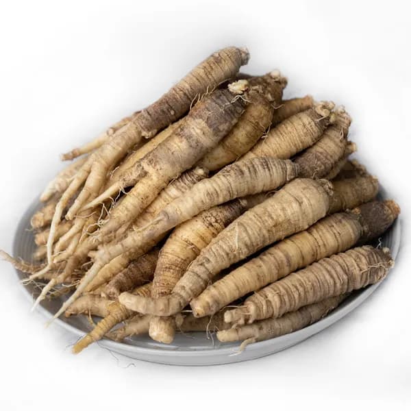 비비푸드 더덕 소 5kg 1개 28,900원