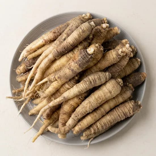 비비푸드 더덕 소 10kg 1개