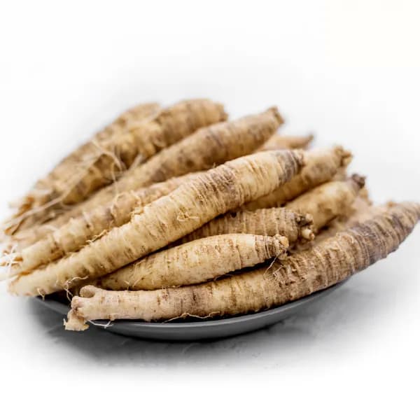 비비푸드 더덕 5kg