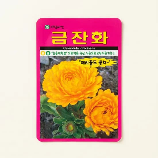 아람종묘 금잔화 70립 1개