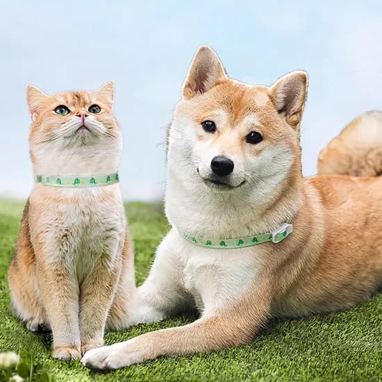 강아지 진드기 모기 해충방지 목걸이, 아보카도, M, 2개
