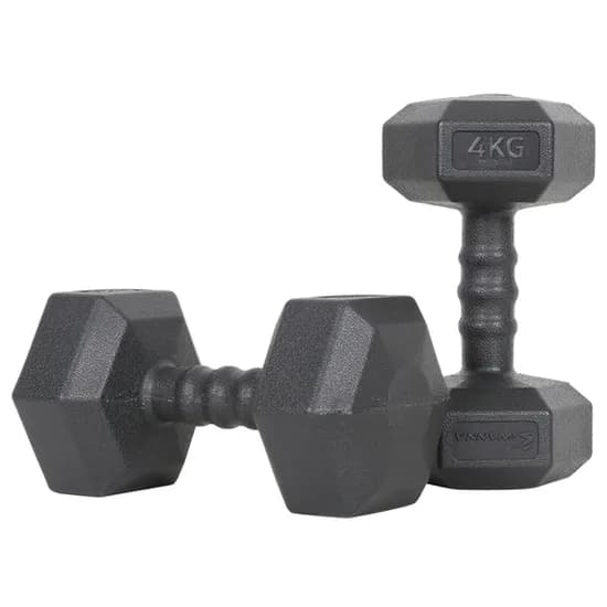 아이워너 맨즈 육각 아령, 4kg, 2개입, 1세트