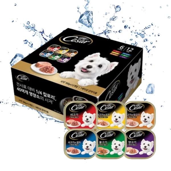 시저 베스트 6종 혼합맛 100g 12개