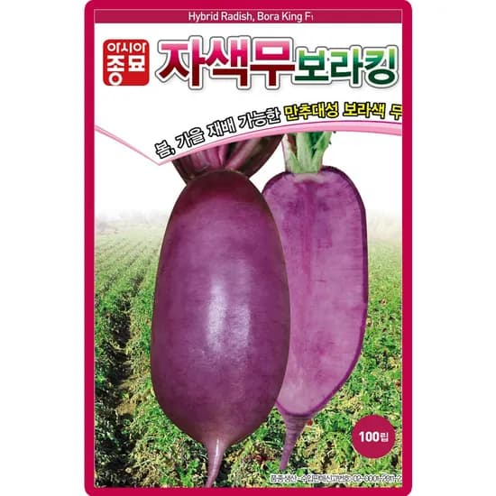 아시아종묘 자색무 보라킹 100립 1개