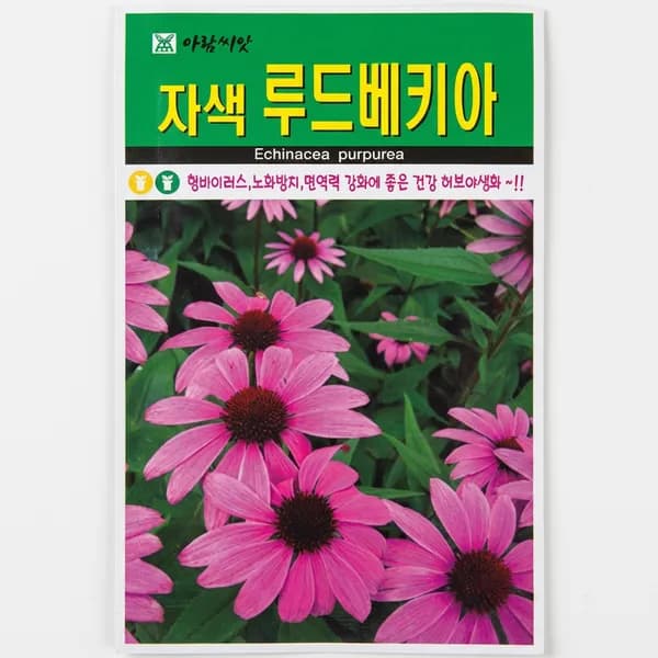 자색 루드베키아 씨앗 100립 1개