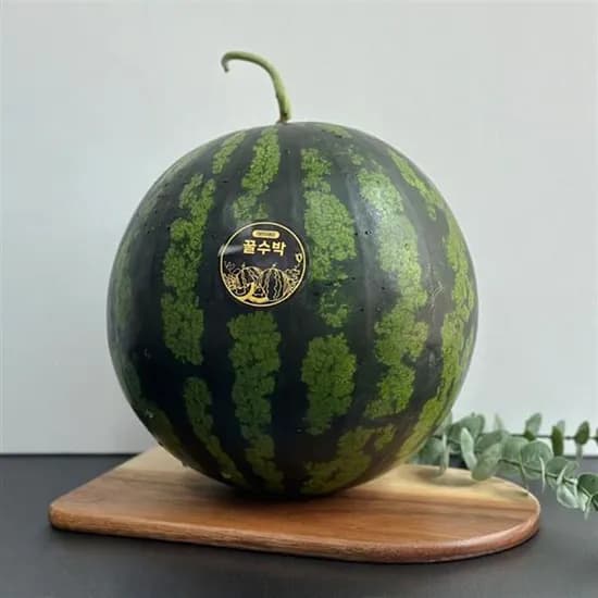 고당도 프리미엄 꿀수박, 가정용, 7-8kg, 1개