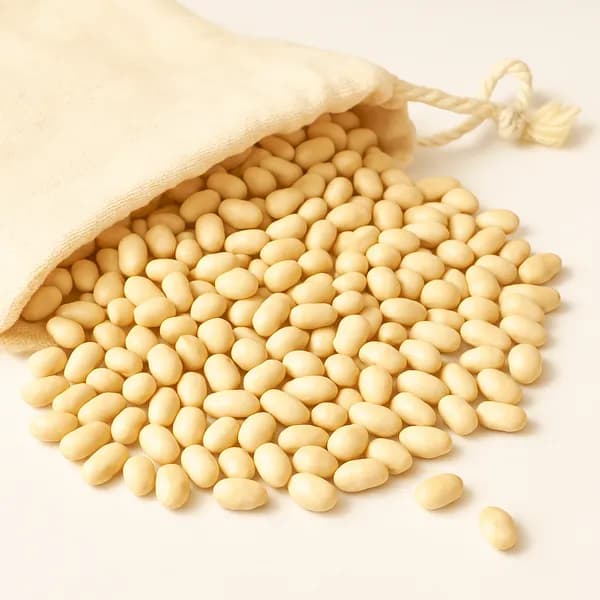 푸드푸 흰강낭콩 500g 1개