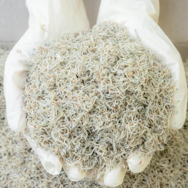 오늘의바다 국내산 햇 아기멸치 300g