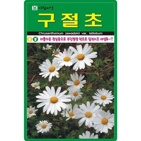 아람종묘 구절초, 1개