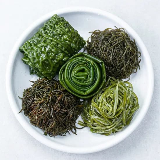 건강의섬 완도 해초 쌈다시마 곰피미역 톳 800g 3팩