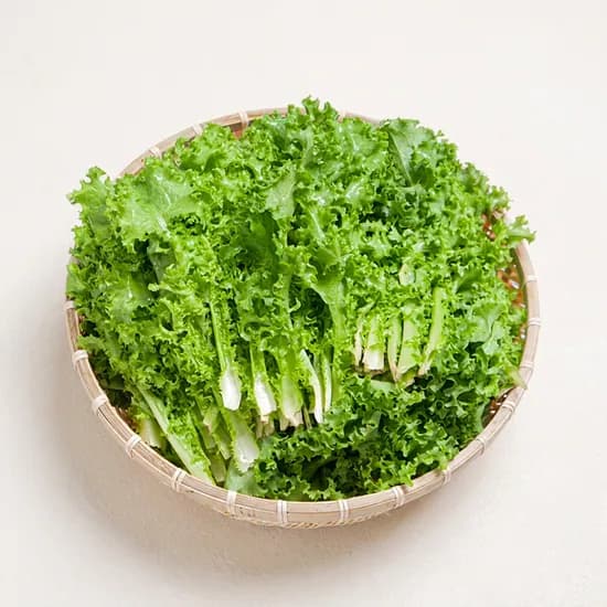 화진농장 치커리 쌈채소 특상품 1kg 1박스