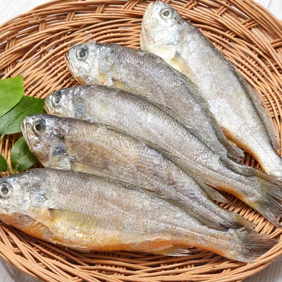 반건조 침조기 손질 26-28cm 1.3kg 7미 1개