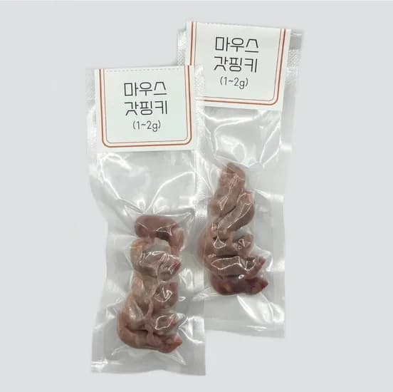 쥐선생 냉동마우스, 2g, 10개입, 1세트