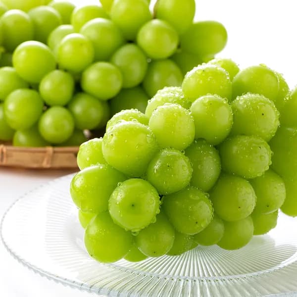 산기슭 샤인머스켓 2kg