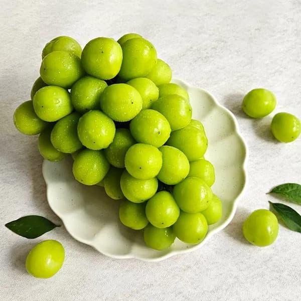 샤인머스켓 특품 4kg 내외 4-5수 1박스 15,900원