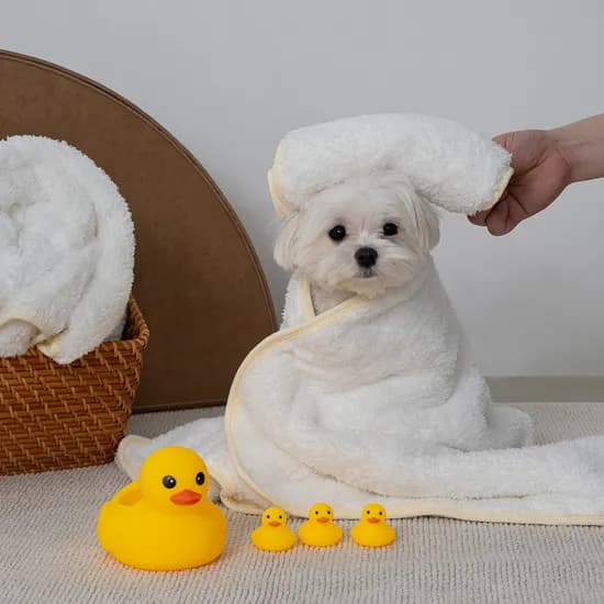 자이언트 펫타월, M, 1개