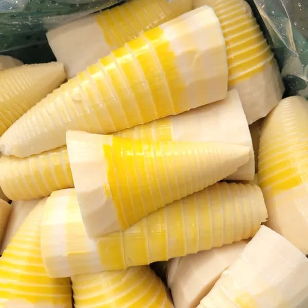 거제도 삶은 햇 죽순 500g 2팩