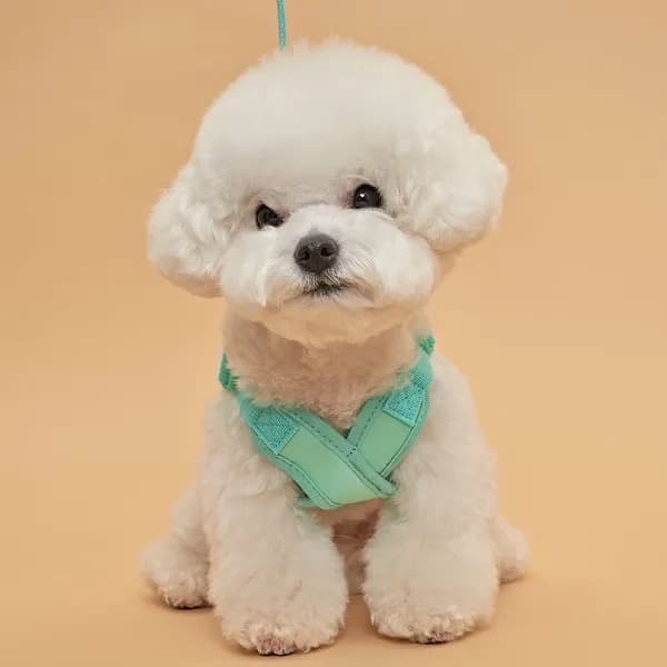 도그아이 강아지 X형 하네스 가슴줄 민트 M