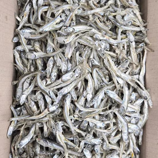 바다찬미 햇 고바멸치, 1.5kg, 1개