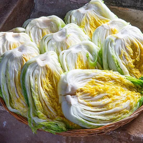 국내산 해남 땅끝마을 절임배추, 10kg, 1개