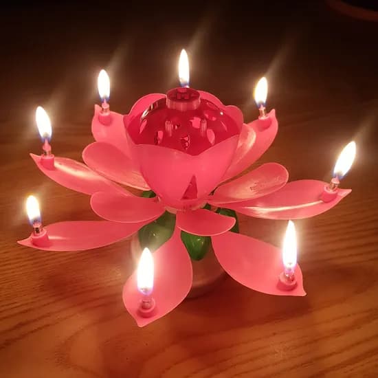 스토리빙 생일축하 회전 멜로디 케이크 생일초 기본 연꽃초, 레드, 1개
