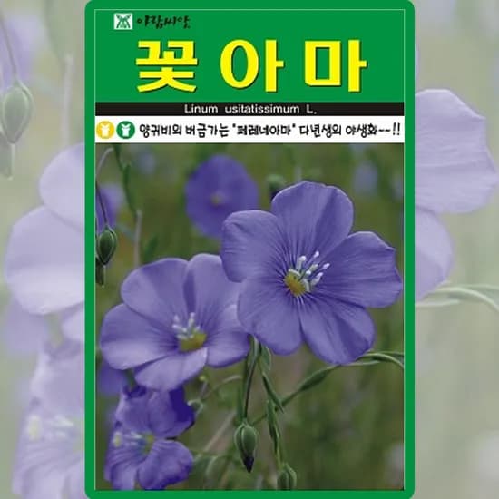 아람종묘 꽃아마, 200립, 1개