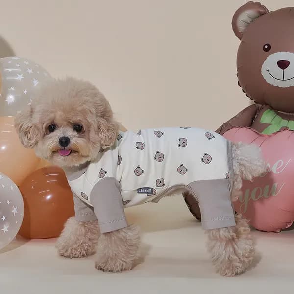 도그아이 강아지 베베 올인원 베이지 S 1개
