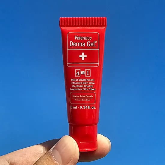 더마젤 연고, 10ml, 1개