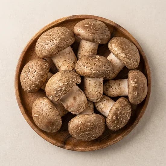 송화버섯 못난이 1kg 1박스