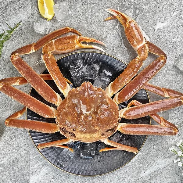 러시아산 활 대게 700-800g 1마리
