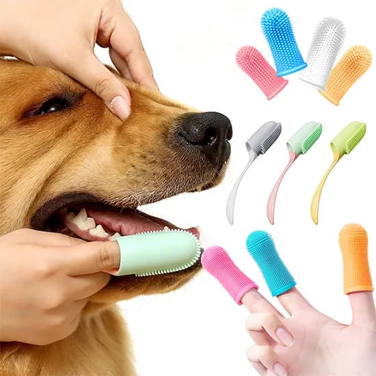 강아지 고양이 실리콘 손가락칫솔, 손가락칫솔_화이트, 4개, 1개