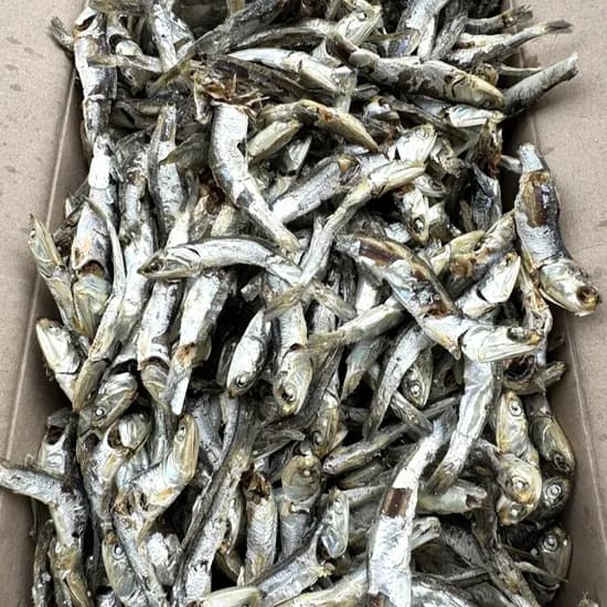 국내산 업소용 굵은 다시멸치 육수용 1.5kg 1개