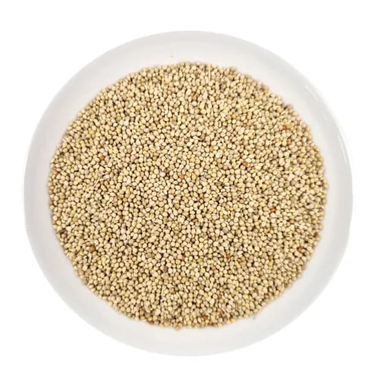 애니몰파크 알갱이 밀렛, 앵무새, 3kg, 1개
