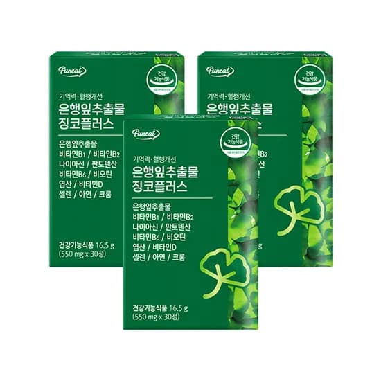 Funeat 기억력 혈행개선 은행잎추출물 징코플러스 30정 3박스