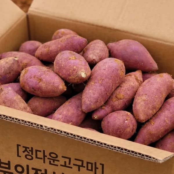 황토 햇 꿀밤고구마 한입 5kg 1개 13,800원