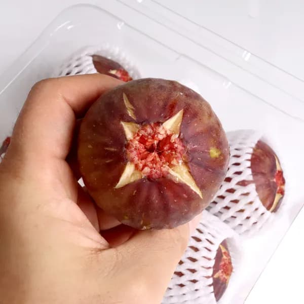 해남 프리미엄 무화과 2kg 4팩 1박스 33,900원