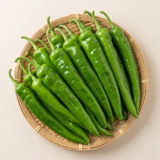 야과몰 아삭이 오이고추 상 1kg 1박스
