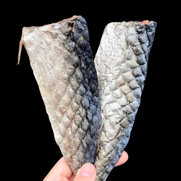낚시미끼용 고등어포 25g 1개입 5,910원
